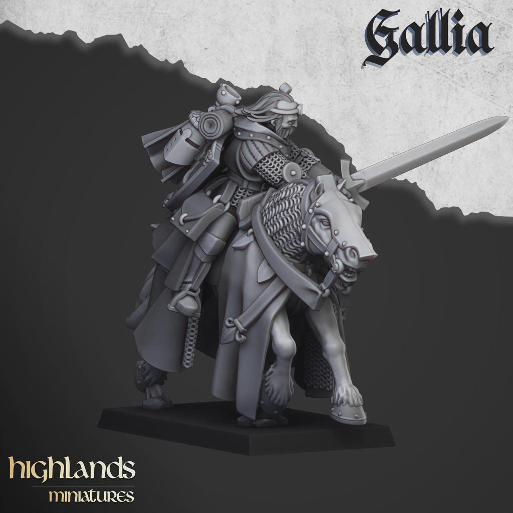 Questing Knights - Highlands Miniatures