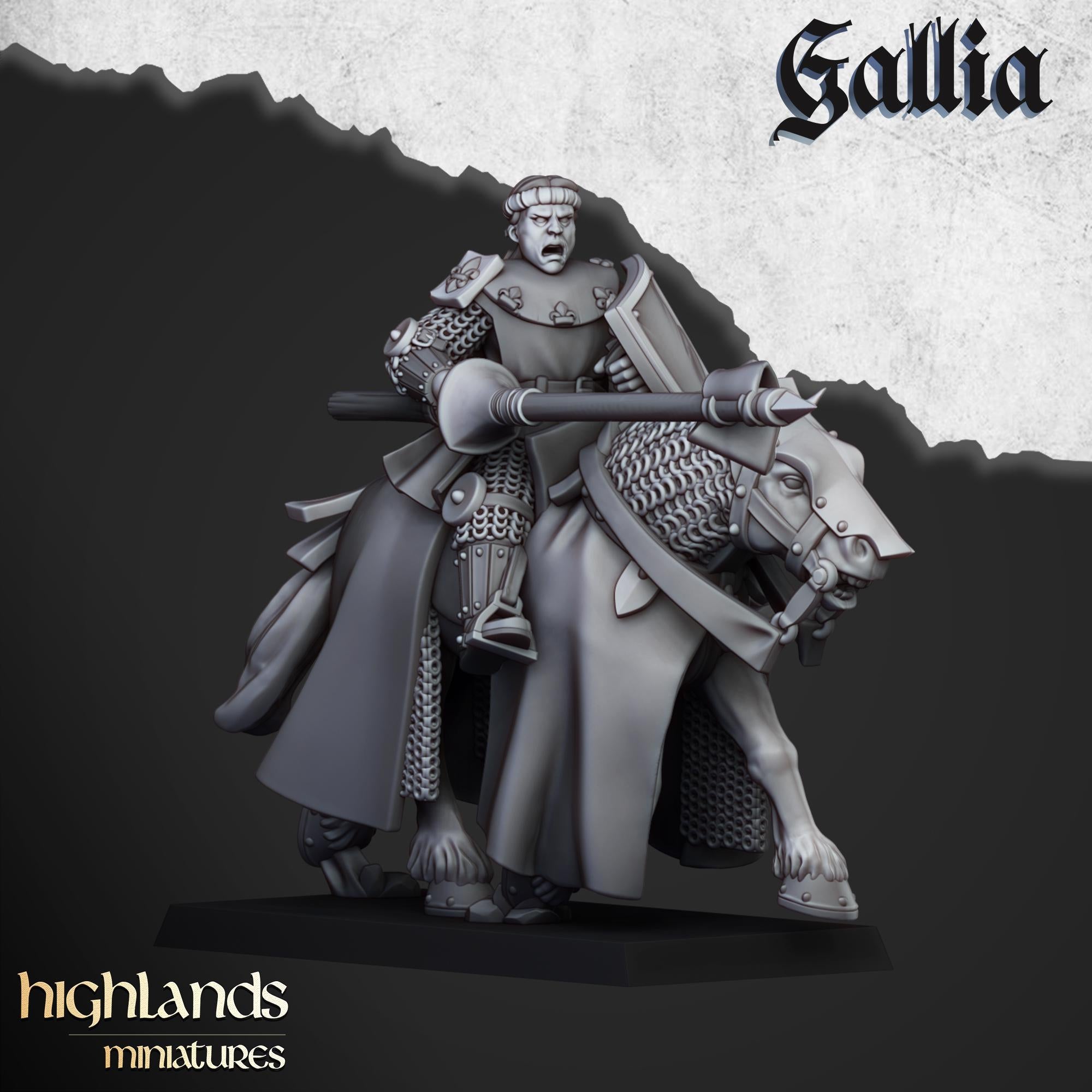 Young Knights of Gallia - Highlands Miniatures