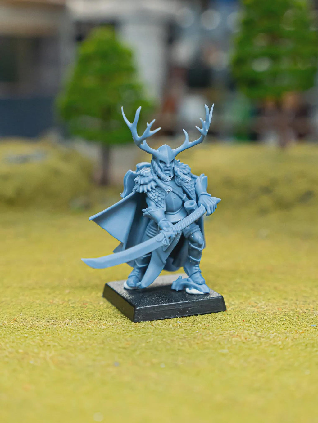 Feral Elf Highborn