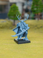 Feral Elf Highborn
