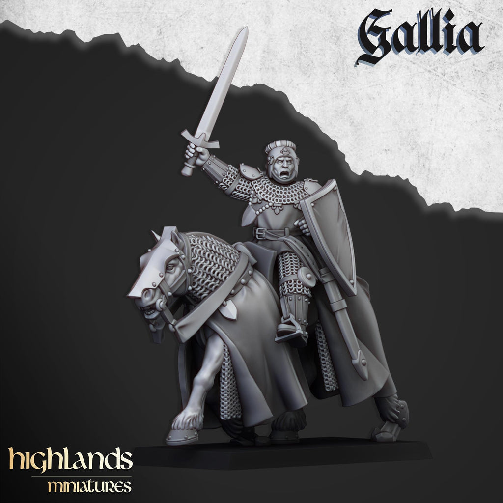 Young Knights of Gallia - Highlands Miniatures