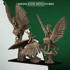 Feral Elf Owl Riders