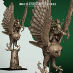 Feral Elf Owl Riders
