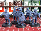 Sunland Swordsmen