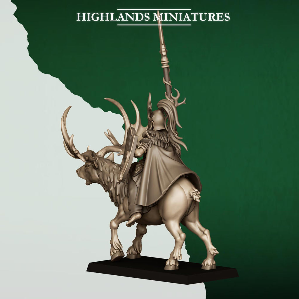 Feral Elf Lord on Feral Stag