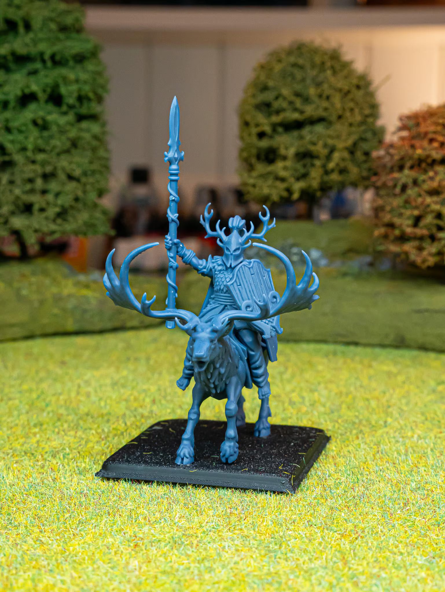 Feral Elf Lord on Feral Stag